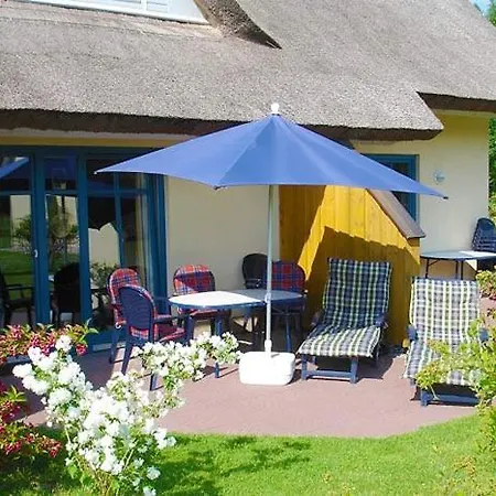 Reetdachhaus Malve 2 *